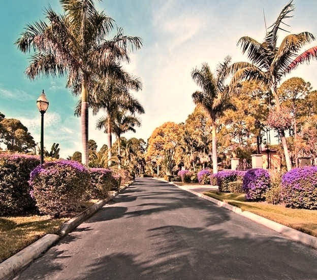 Tropical Florida Road to Mansion